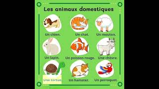 Les Animaux Domestique en français| The Domestic Animals #frenchforbeginner #quicklearningfrench