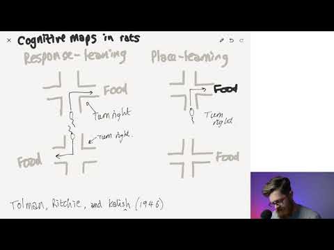 Cognitive maps in rats