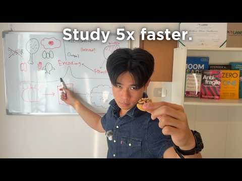The Ultimate Diet To Help You Study 5x Faster