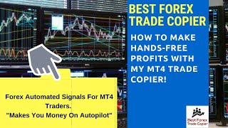 Forex Copy Trader  Best Forex Trade Copier Service