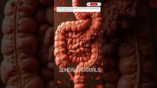 Constipation Begins: Slow Gut Movement | 3D AI Animation #Shorts #GutHealth #AIArt #ColonFunction