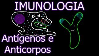 Aula: Imunologia - Antígenos e Anticorpos | Imunologia #7