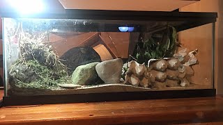 This Is How I Breed Crickets | Reptile Paradise