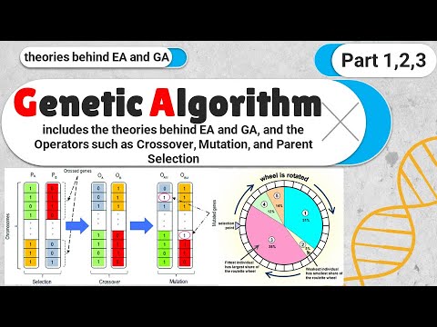 Genetic Algorithm : The most complete introduction about Practical Genetic Algorithms (GA)