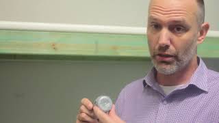 Refraction and Reflection