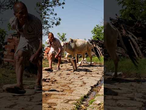 devbhoomi 🙏#nature #devbhoomi #travel #mountains #villagelife #song #peace