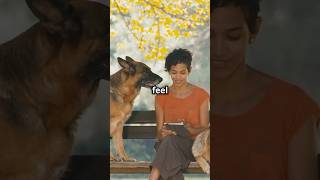 How Pets Can Instantly Boost Your Mood! #PetsAndHappiness #StressRelief #PetTherapy #BoostYourMood