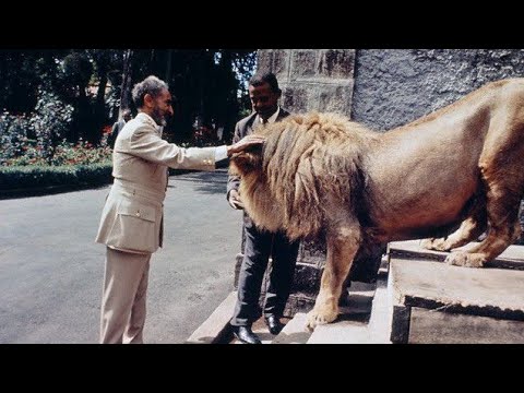 Ethiopia's History of Taming  Wild Lions #ethiopianhistory #Africanhistory #ethiopia