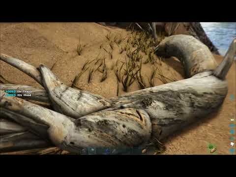 3 | Building Wyvern Egg Boat | ARK Survival Evolved | Official Settings | Beginners GUIDE | Gameplay