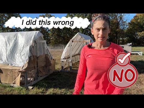 I need to separate the broiler chickens into two tractors!