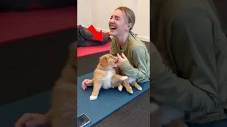 Puppies Changed Everything in This Yoga Studio 🐶🧘