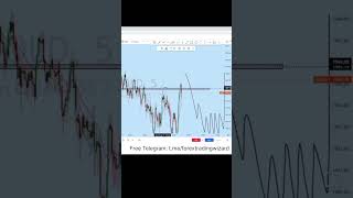 Learn Forex with forex wizard