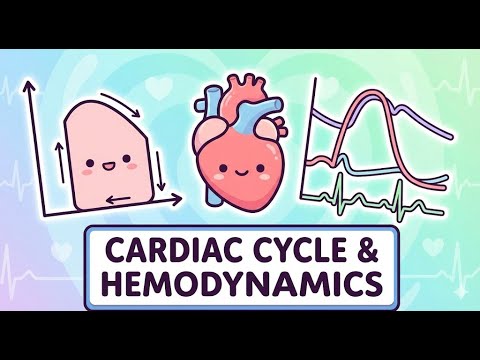 PLE Physiology 4.3 Cardiovascular