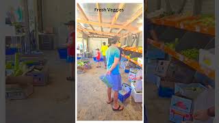 Nothing beats the joy of farm shopping near Sydney