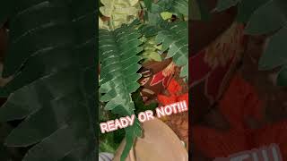 #ballpython #feedingsnakes #royalpython #snakefeeding #snakes #reptiles #ballpythonmorph