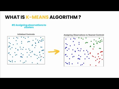 Project 1: Penguin Data Clustering with K-Means, Silhouette Scores, and t-SNE | Machine Learning