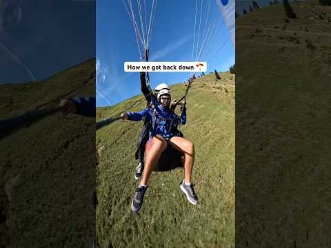 Would you run off a mountain? 🪂 #paragliding #austria #bucketlistadventures #adventuretravel