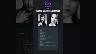 Card Hover Effect #css #cssanimation #html5 #csseffect