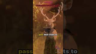 What is a evolutionary computing