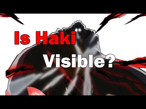 Is Haki visible to the characters? | One Piece