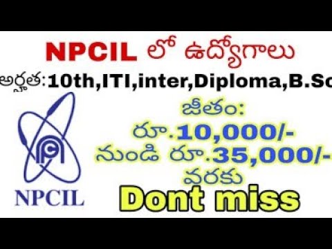 NCIL job recruitment 2020||new jobs in telugu||jobs in india||new jobs||jobs  AP|| by New jobs mela