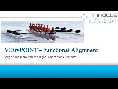 ViewPoint Functional Alignment