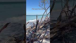 Volume up for the sound of the ocean’s heart beating! #naturelovers #exploreflorida #shelling
