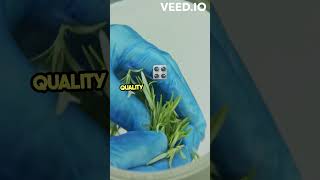 Revolutionizing Industry with AAEON AI Solutions