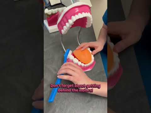 How to Brush and Floss Your Teeth #communityhealth #dentalcare
