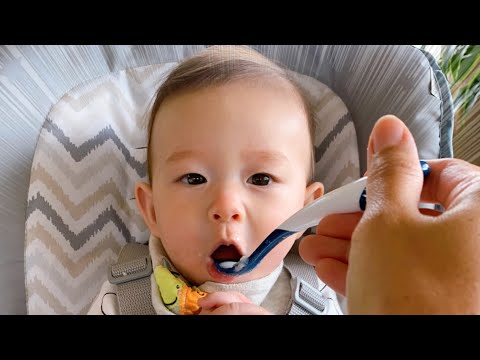 Fitz’ first meal! #อาหารมื้อแรกของลูก