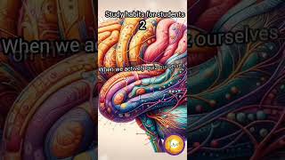 active recall #studyhabits #activerecall