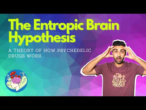 The Entropic Brain Hypothesis EXPLAINED: Psychedelics and Consciousness