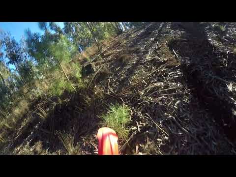 CR250R Monte Sta Marinha Picada