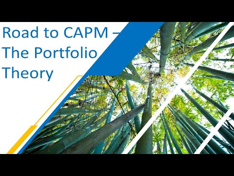 The Road to CAPM - Idiosyncratic or Unsystematic Risk vs  Systematic Risk (The Portfolio Theory)