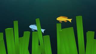 Motion Design-Data Visualization/ Animated Infographic