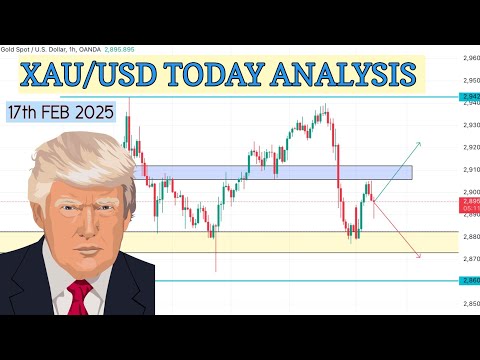 XAU/USD ANALYSIS TODAY 17/02/25 LIVE FORECAST || XAU/USD TODAY ANALYSIS UPDATE || Precious Pips