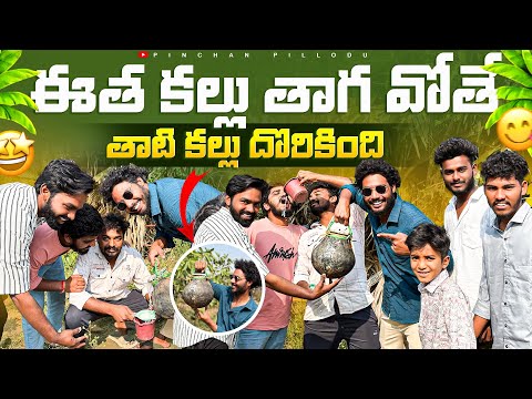 ఈత కల్లు తాగవోతే తాటి కల్లు దొరికింది || Pinchan pillodu || vlogs || enjoyment, Vlog ||