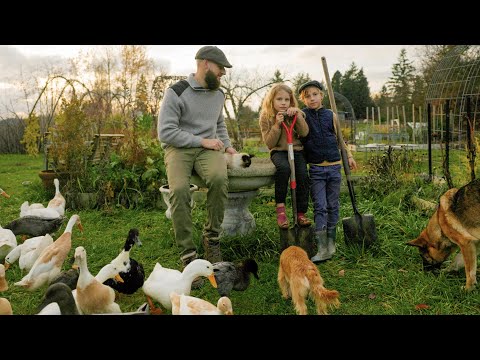 Slow Living on our Small Farm with 4 Kids | Preparing for Cold Weather, Building a Tiny Cottage