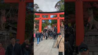 Things to do in Kyoto 🍵💚 #kyoto #japan #thingstodoinjapan #japaneseculture #matcha #temples #monkeys