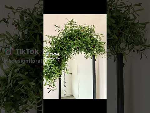 #flowers  #floraldecor #interior #love #nature #spring #olives #garlands