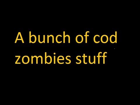 Black ops 1 Shenanigans