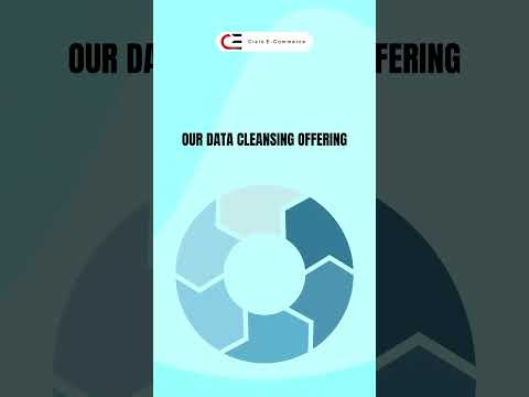 Data cleansing Services.