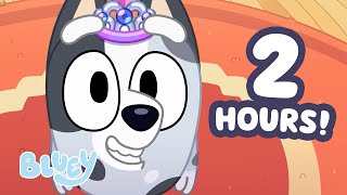 New Year Bluey! 🤪 💙 | 2 HOURS of Playtime with Friends for 2026! ⭐️ | Bluey