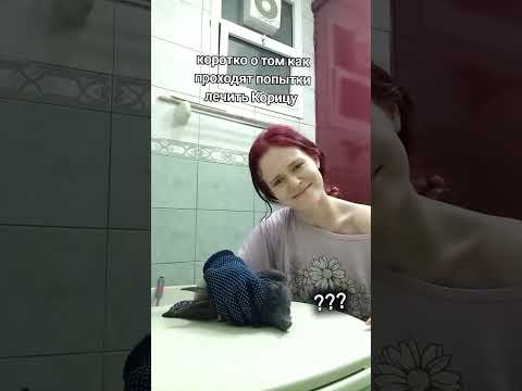 #птицы #birds #голуби #помощьживотным