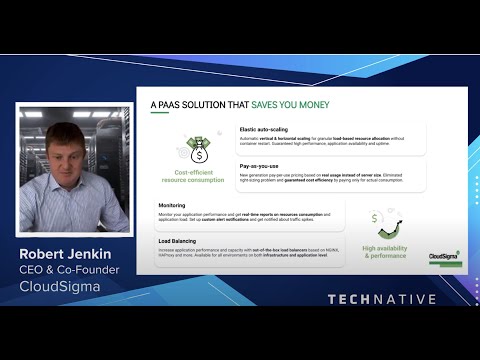 Perfect Cloud Provisioning: CloudSigma PaaS Offering Cost-Saving Features