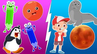 Counting With Objects + 1 to 10 Numbers + More Kids Learning Videos | Whiz Kids