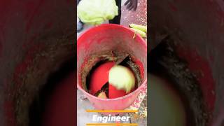 Top 5 Vegetable Crushing Machines That Will Change Your Cooking Game