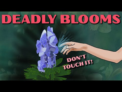 The World's Most Poisonous Plants and Flowers
