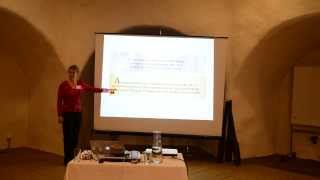 (BrewingAgile 2013) Emily Bache: Software Craftsmanship