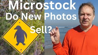 February Stock Photography Earnings: Are New photos/videos Selling on the Agencies?